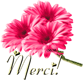 Merci!!!