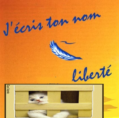 Liberté