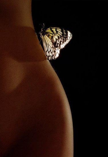 COURBES